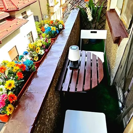 Tantra Studio 2 Rosetti-2